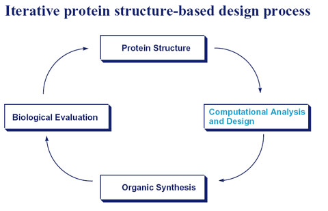 Structure based drug design service